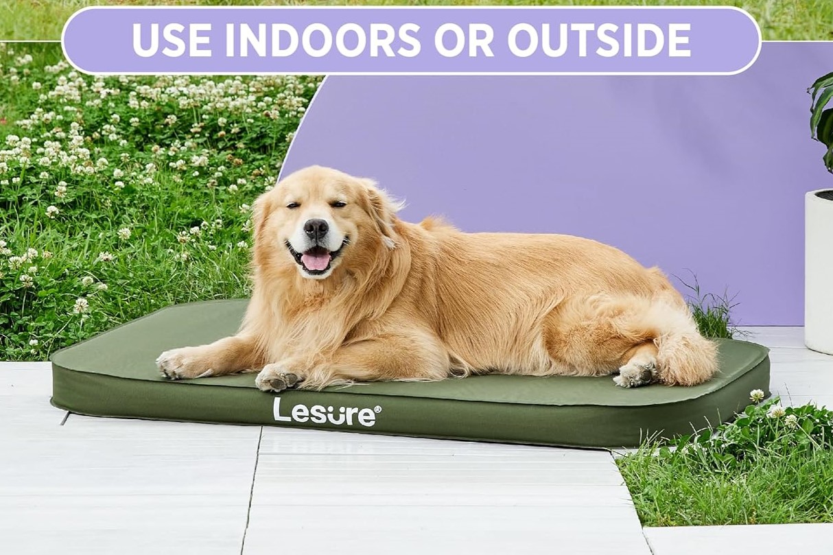 The Ultimate Guide to Choosing a Dog-Proof Air Mattress for Camping